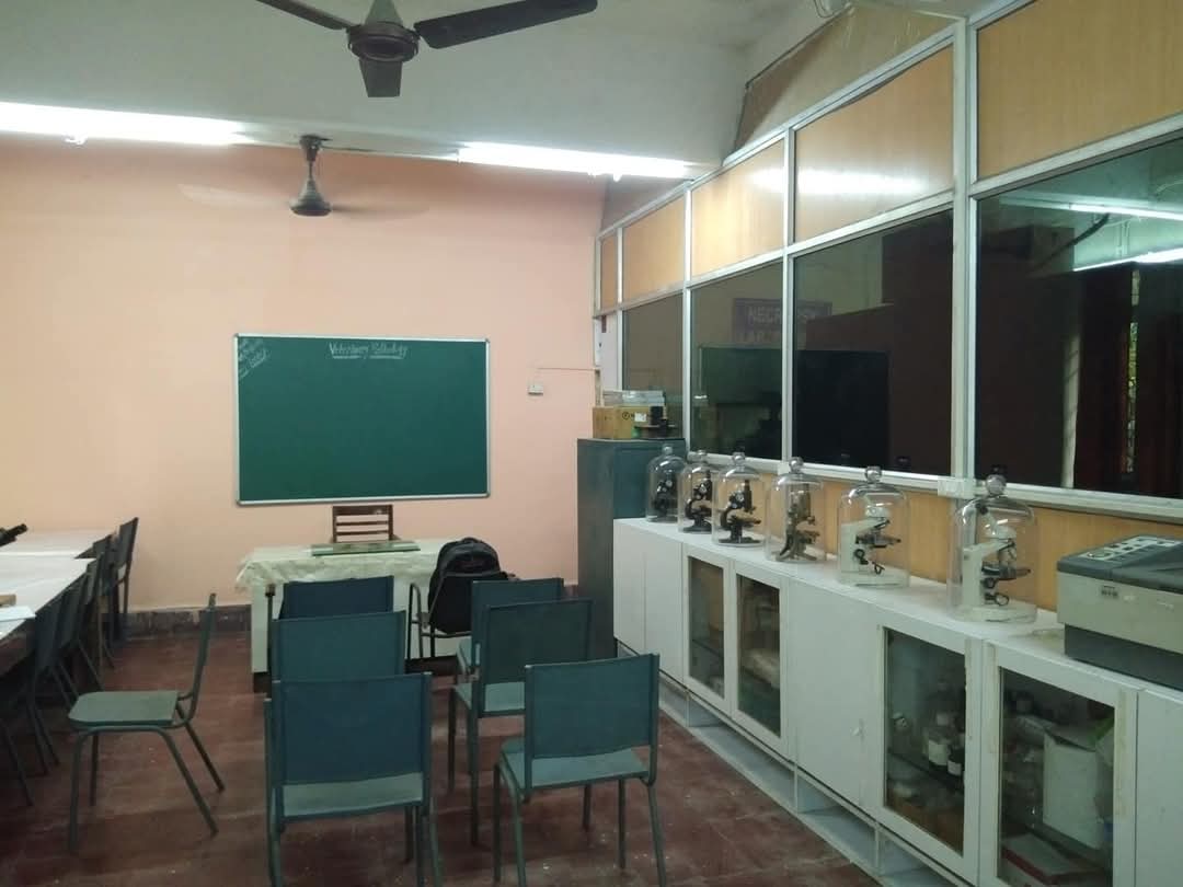 Practical Hall